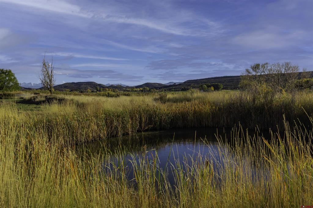 19555 6575 Road Montrose CO 81403