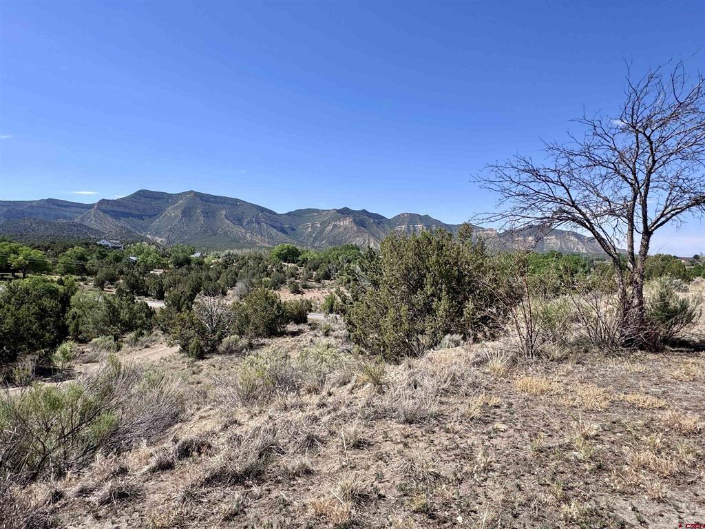 25120 Road F Cortez CO 81323