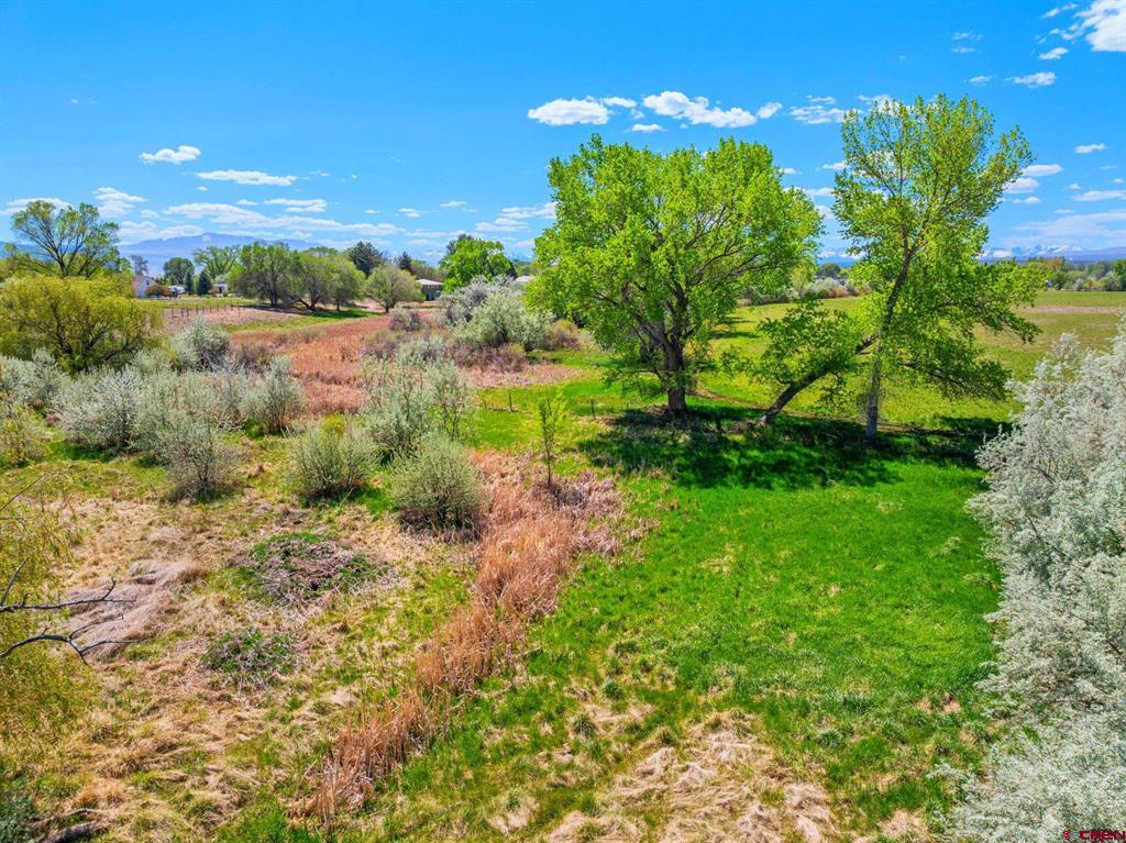 62350 Highway 90 Montrose CO 81403