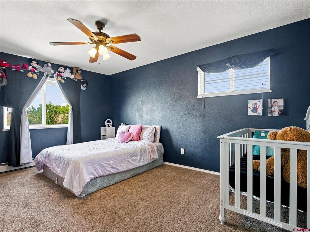 2046 Princeton Way Montrose CO 81401