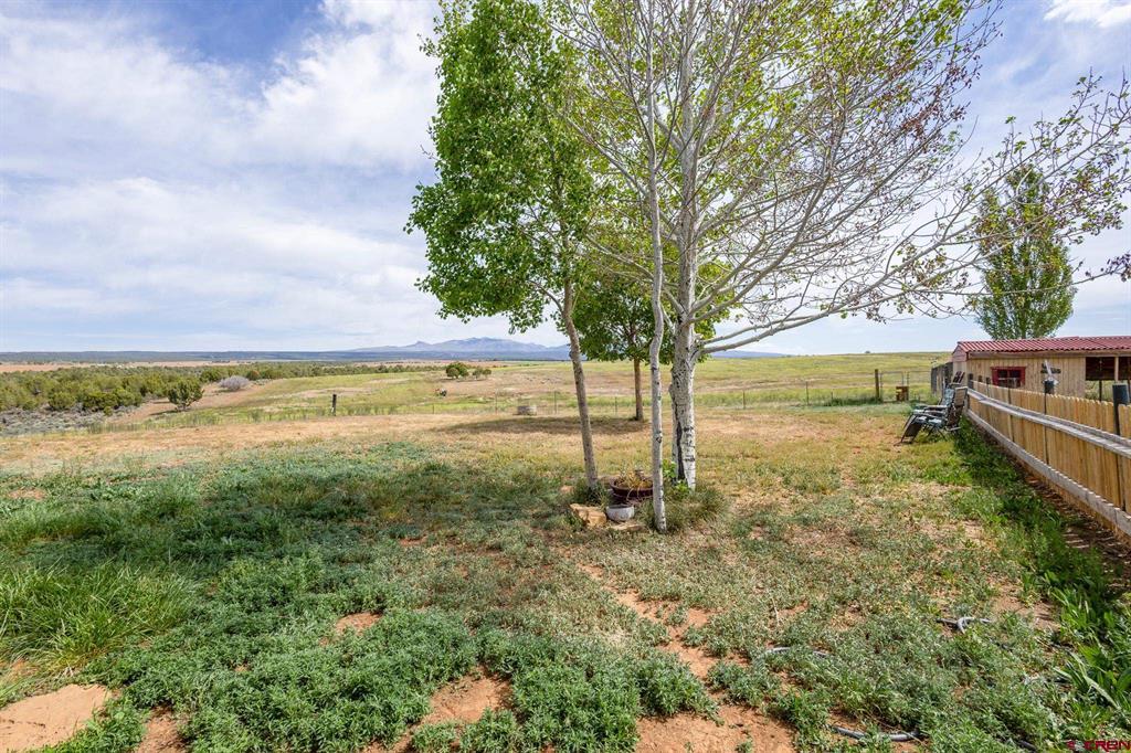 1100 Cr 119a Hesperus CO 81326