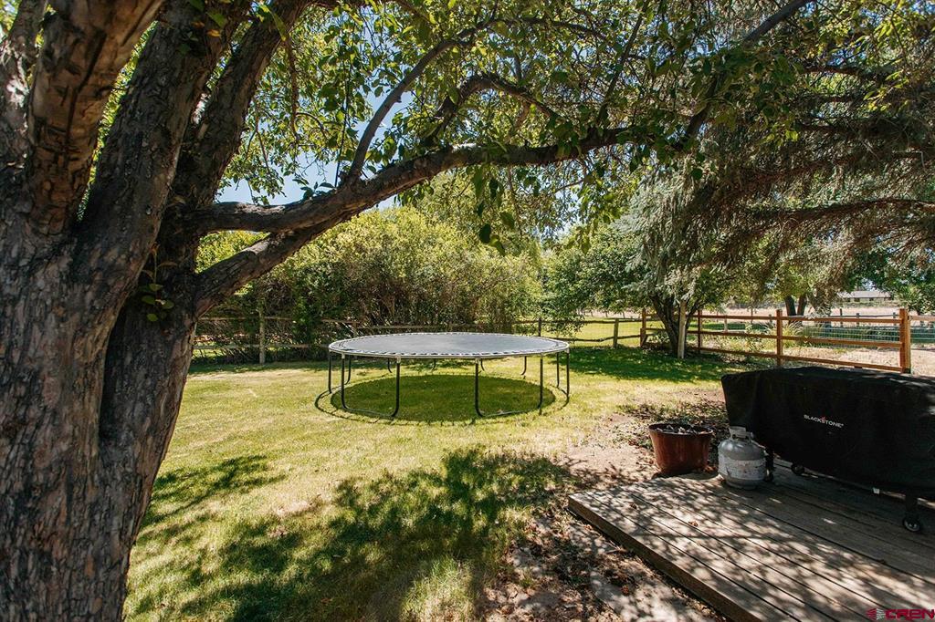 62224 Chu Chu Lane Montrose CO 81403