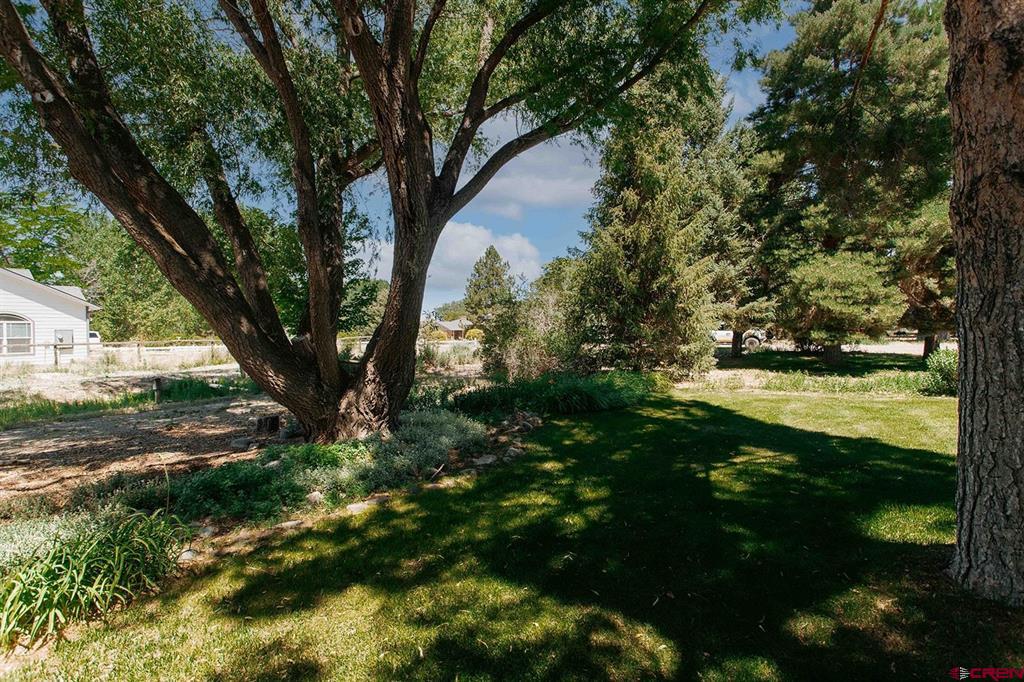 62224 Chu Chu Lane Montrose CO 81403