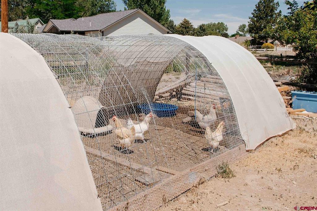 62224 Chu Chu Lane Montrose CO 81403