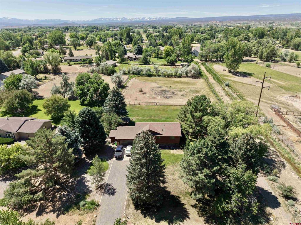 62224 Chu Chu Lane Montrose CO 81403