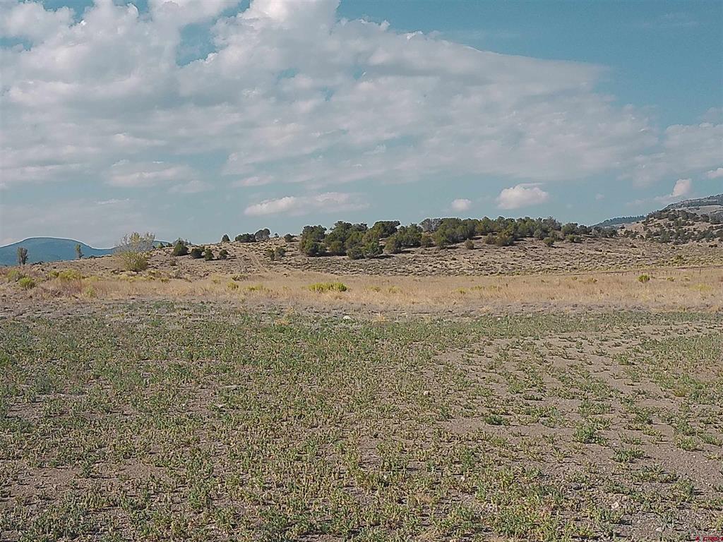 1266 County Road 14 Del Norte CO 81132