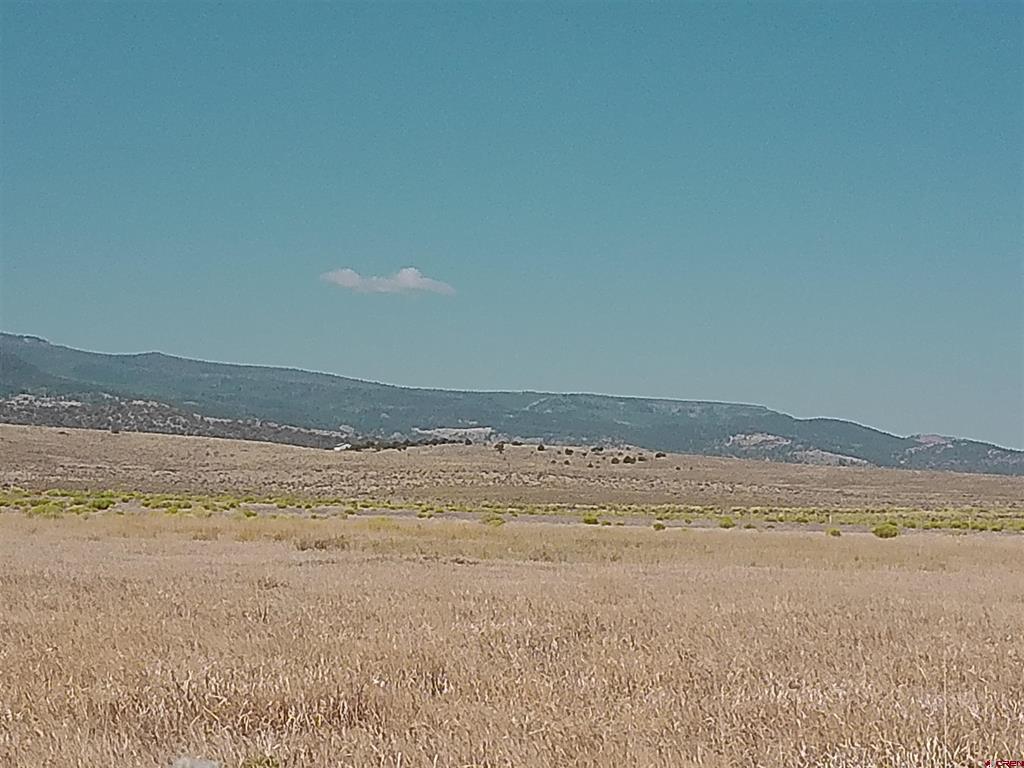 1266 County Road 14 Del Norte CO 81132