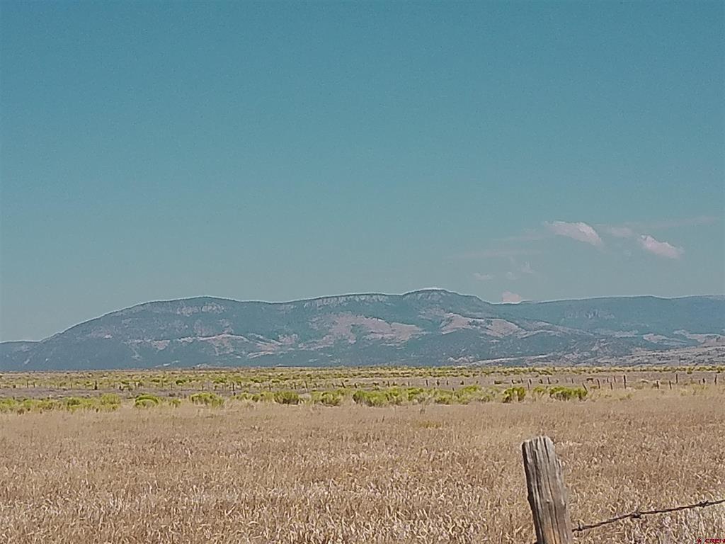 1266 County Road 14 Del Norte CO 81132