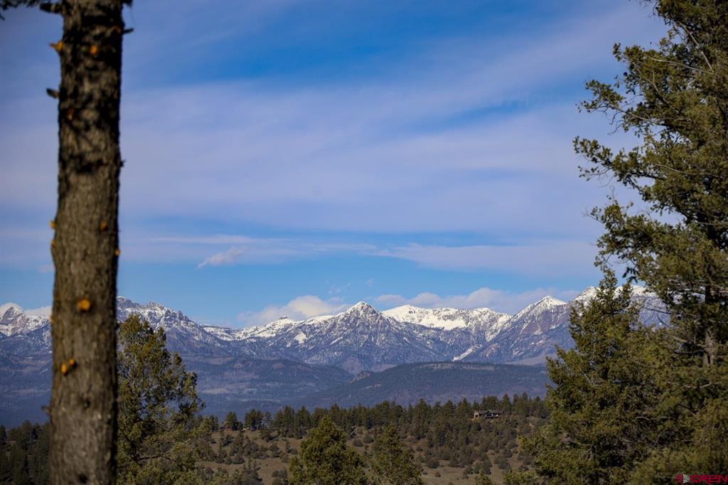 316 Loma Vista Court Pagosa Springs CO 81147