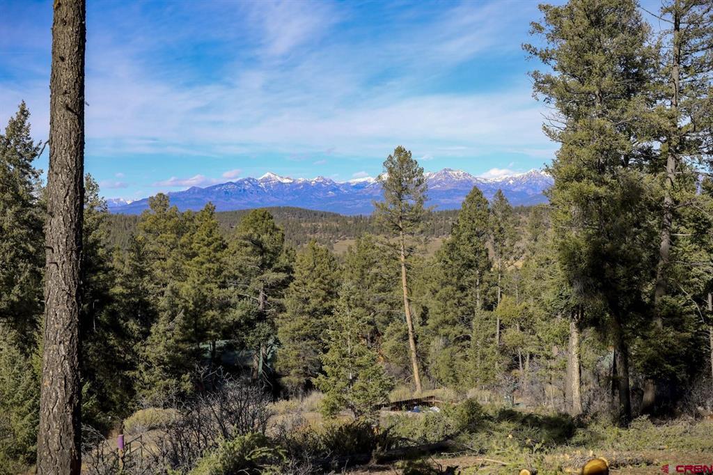 316 Loma Vista Court Pagosa Springs CO 81147