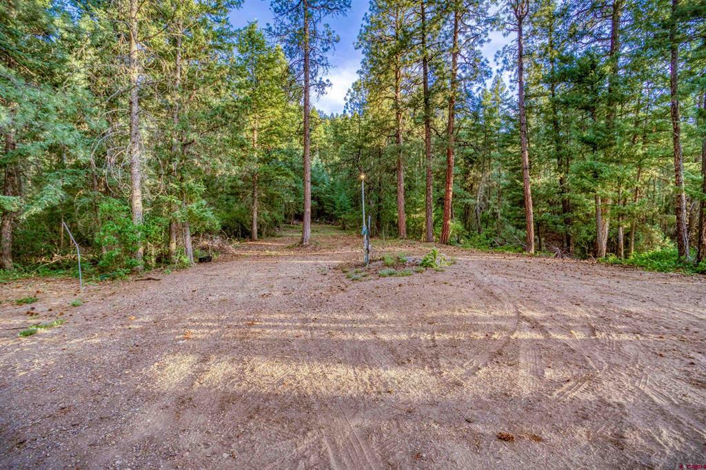 316 Loma Vista Court Pagosa Springs CO 81147