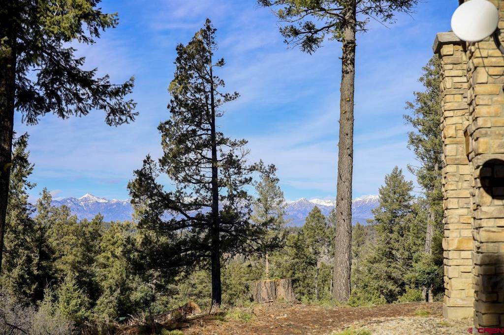 316 Loma Vista Court Pagosa Springs CO 81147