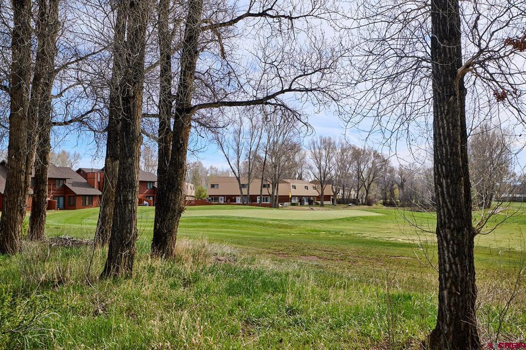 500 Curecanti Unit 14b Drive Gunnison CO 81230
