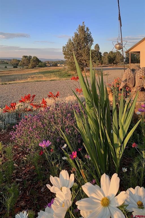 167 Hollow Ridge Road Durango CO 81301