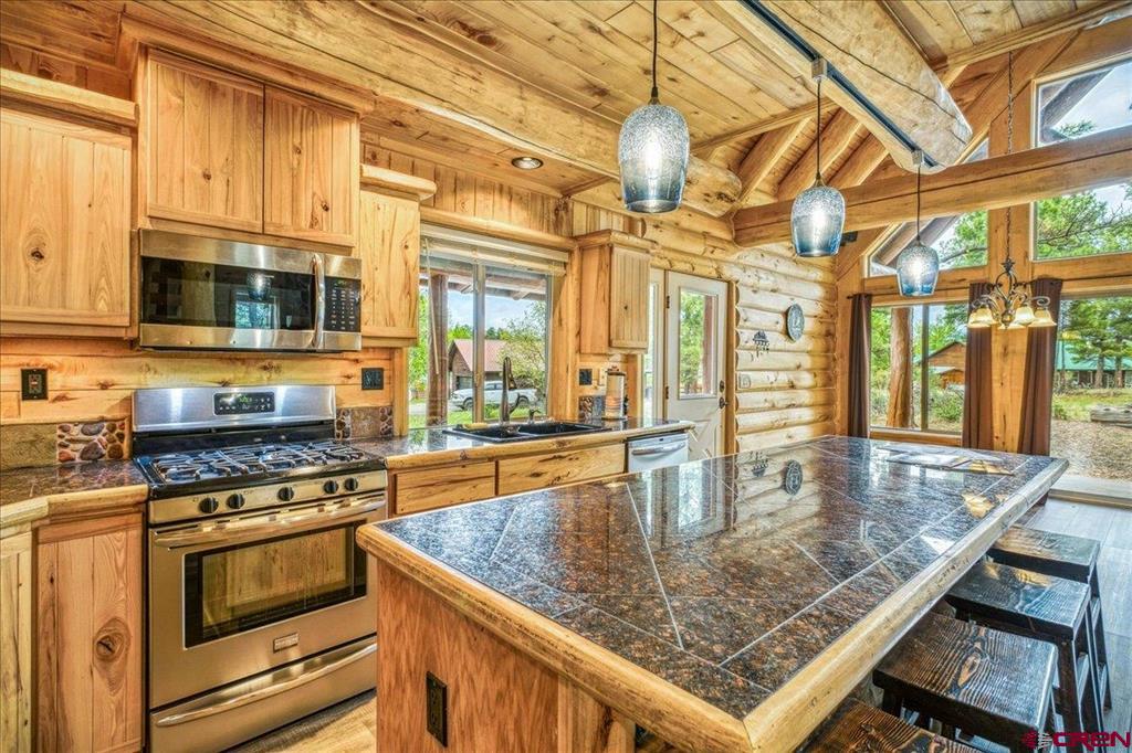 33 Fawn Court Pagosa Springs CO 81147