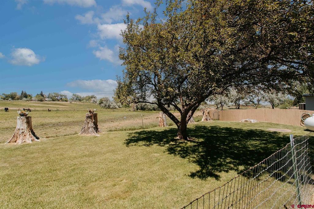 14679 5875 Road Montrose CO 81403