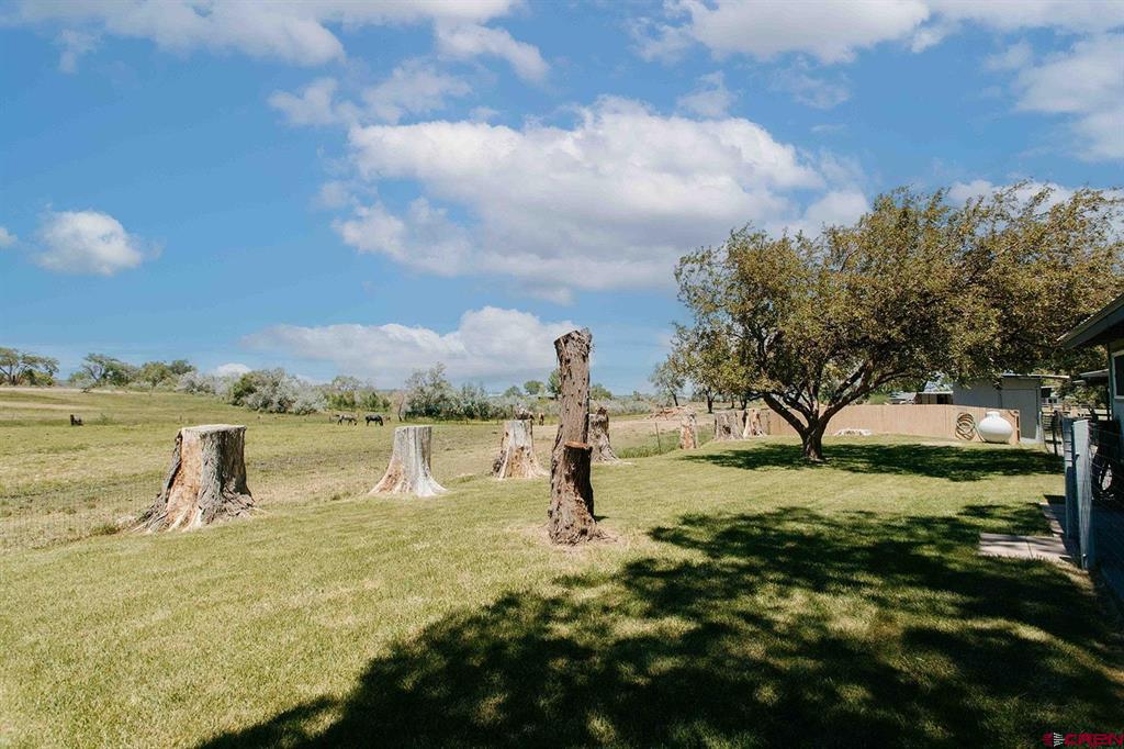 14679 5875 Road Montrose CO 81403