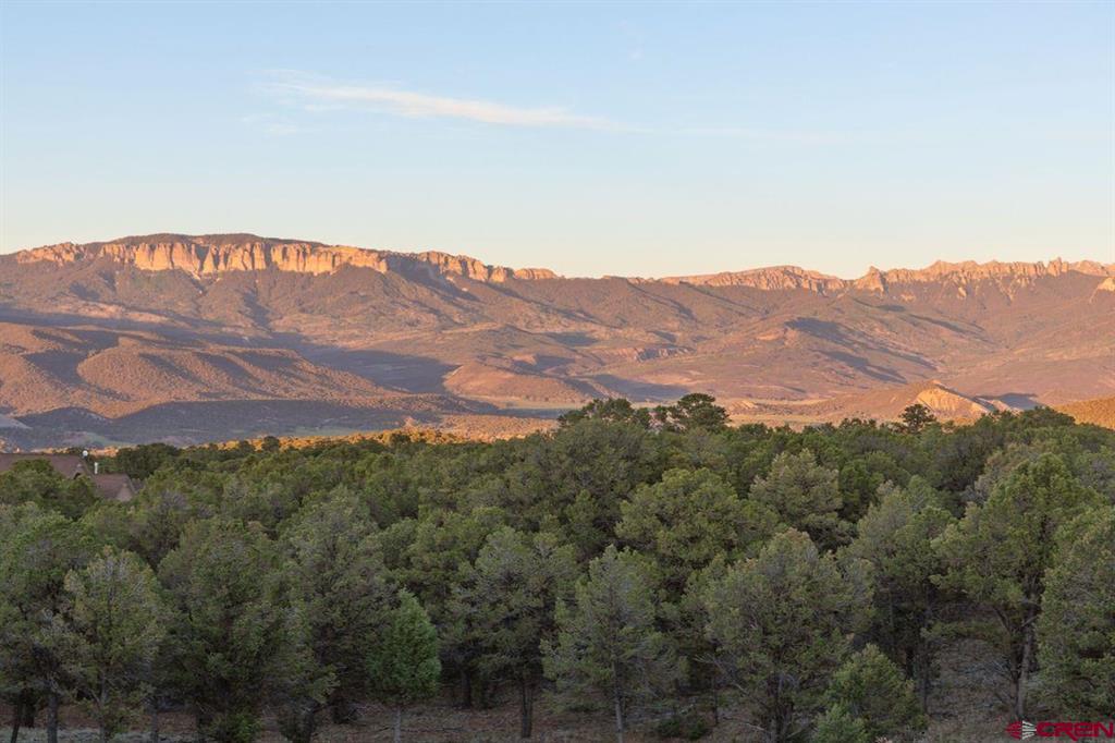 99 Willow Lane Ridgway CO 81432