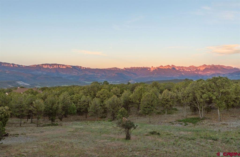 99 Willow Lane Ridgway CO 81432