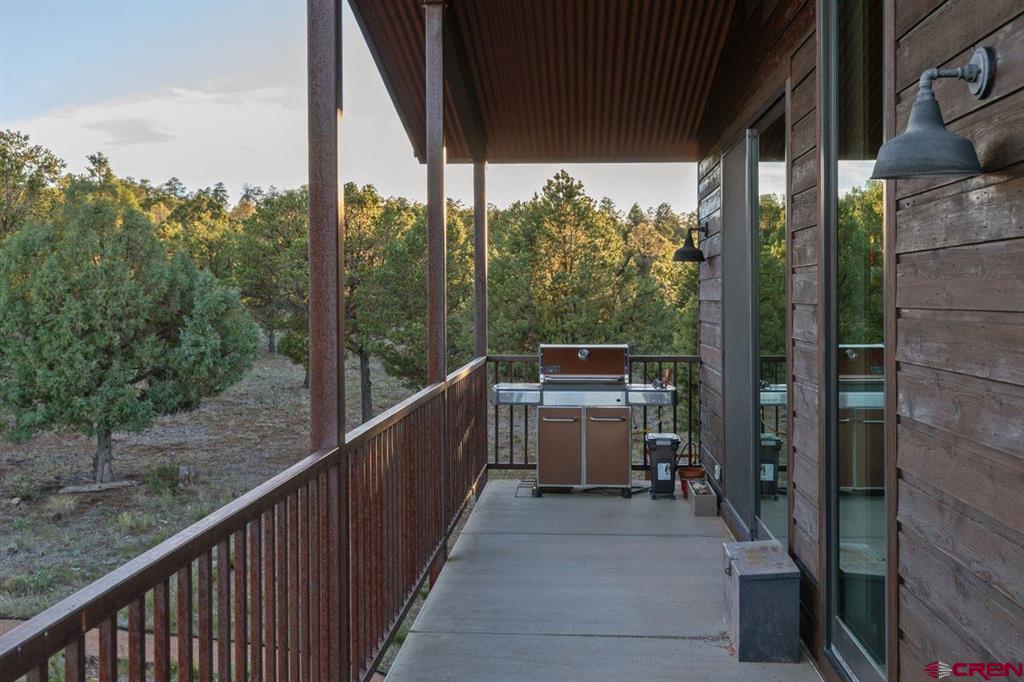 99 Willow Lane Ridgway CO 81432