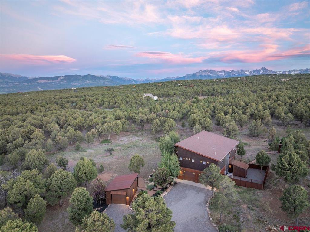 99 Willow Lane Ridgway CO 81432