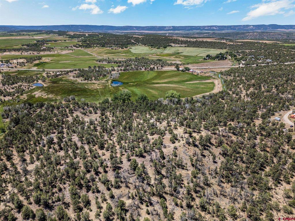 2943 Highway 151 Ignacio CO 81137