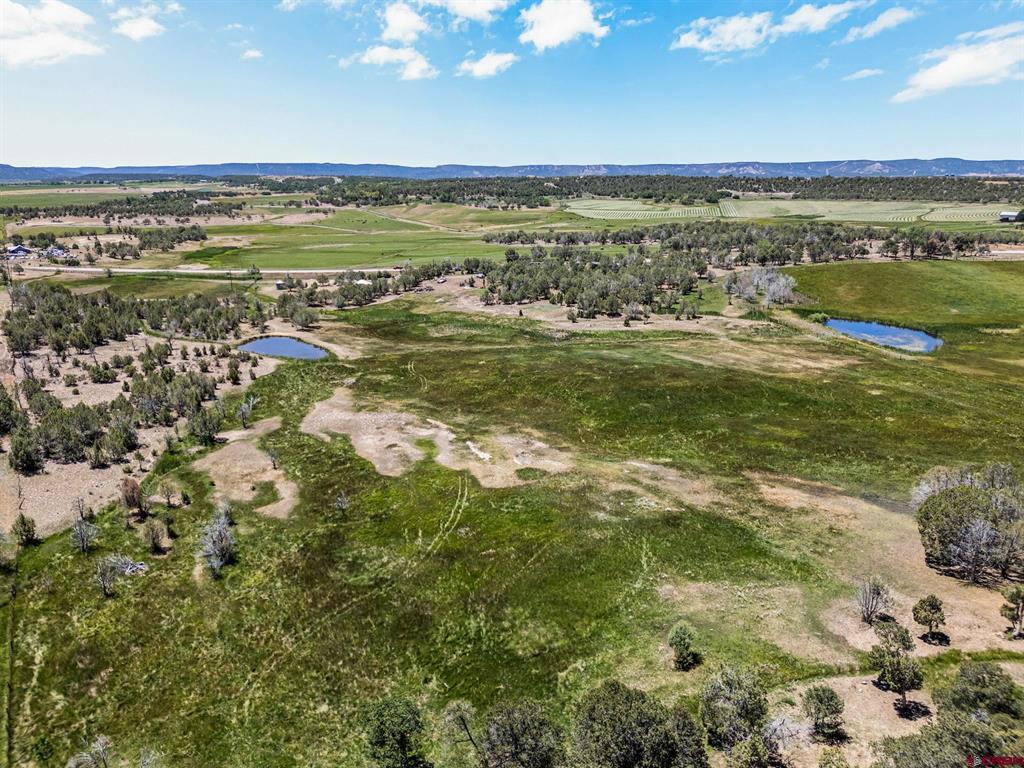 2943 Highway 151 Ignacio CO 81137