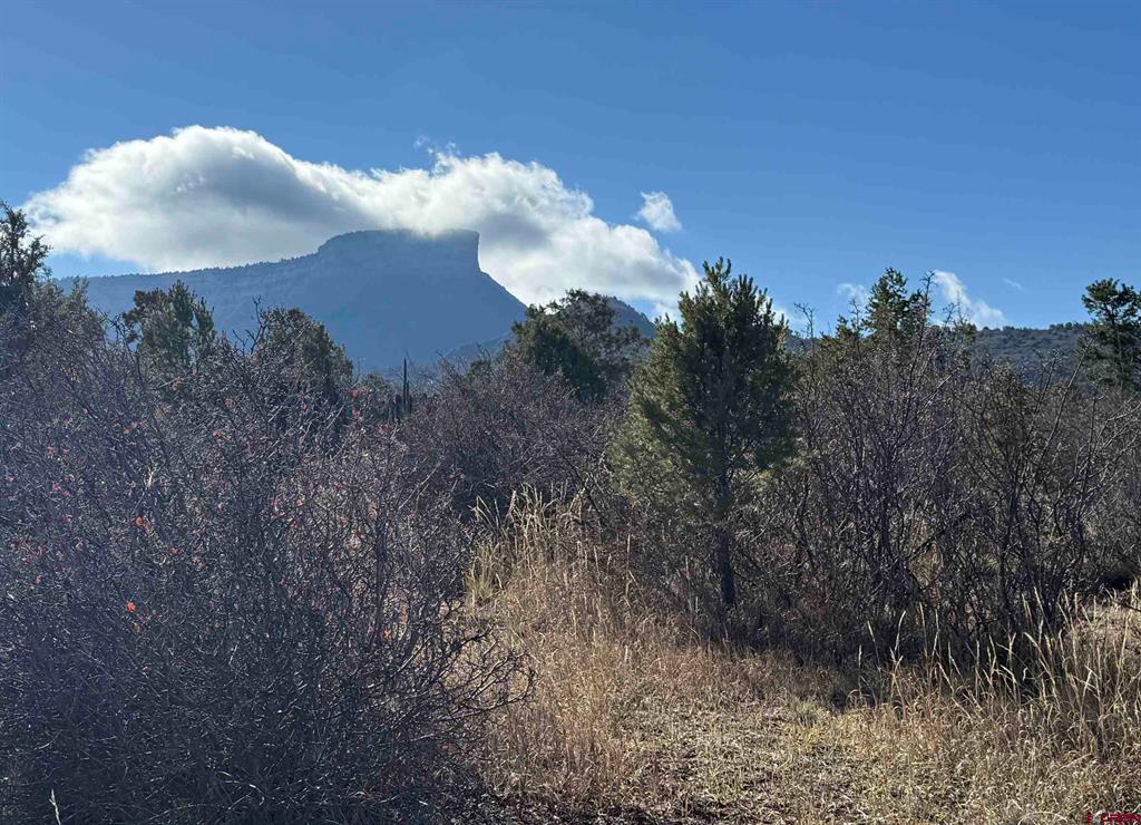 35575 Road H.5 Mancos CO 81328