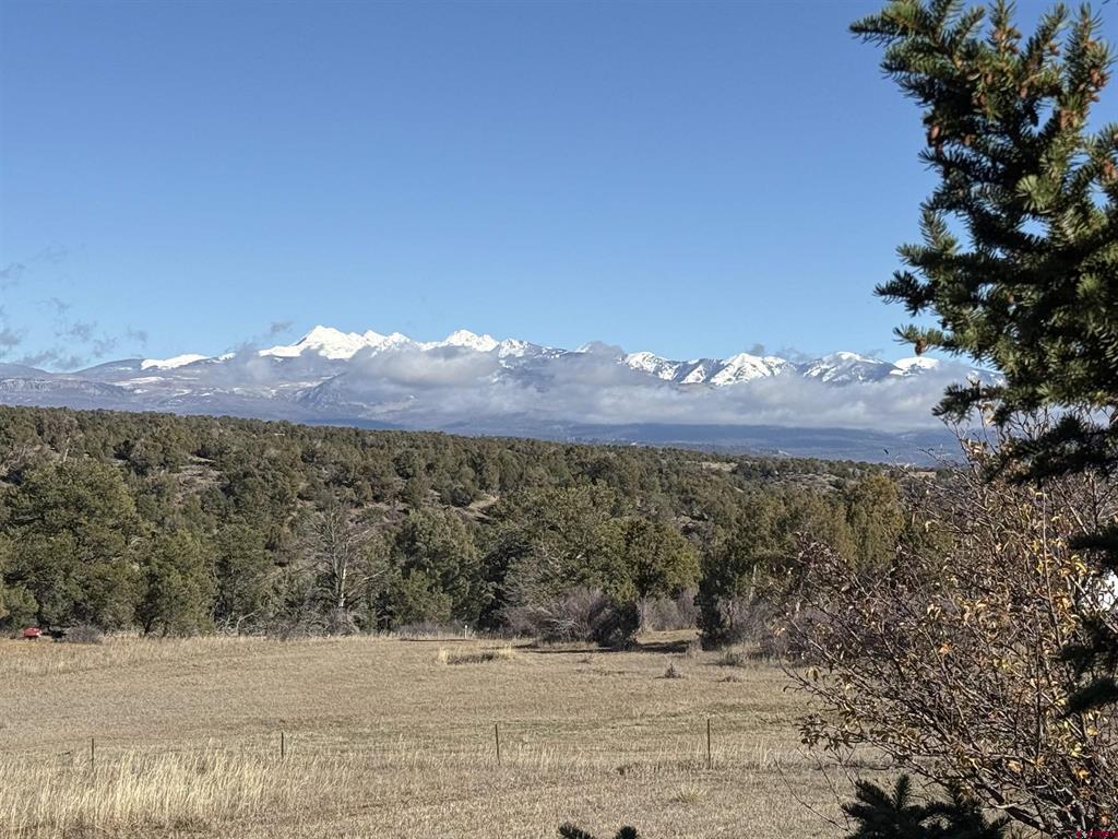 35575 Road H.5 Mancos CO 81328