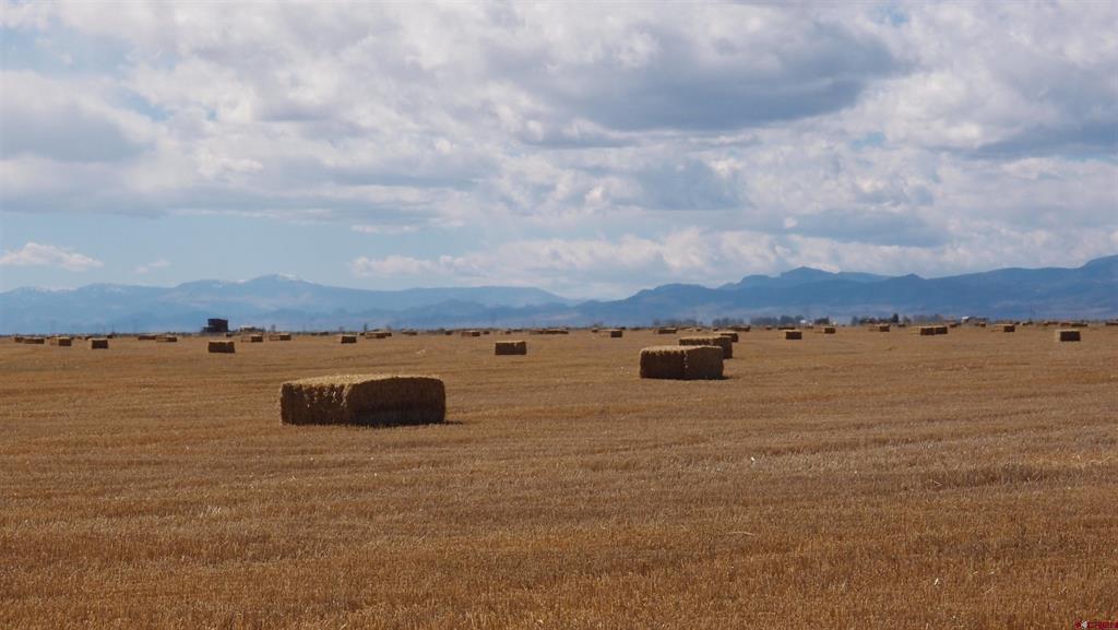 57500 & 57622 County Road Aa Saguache CO 81149