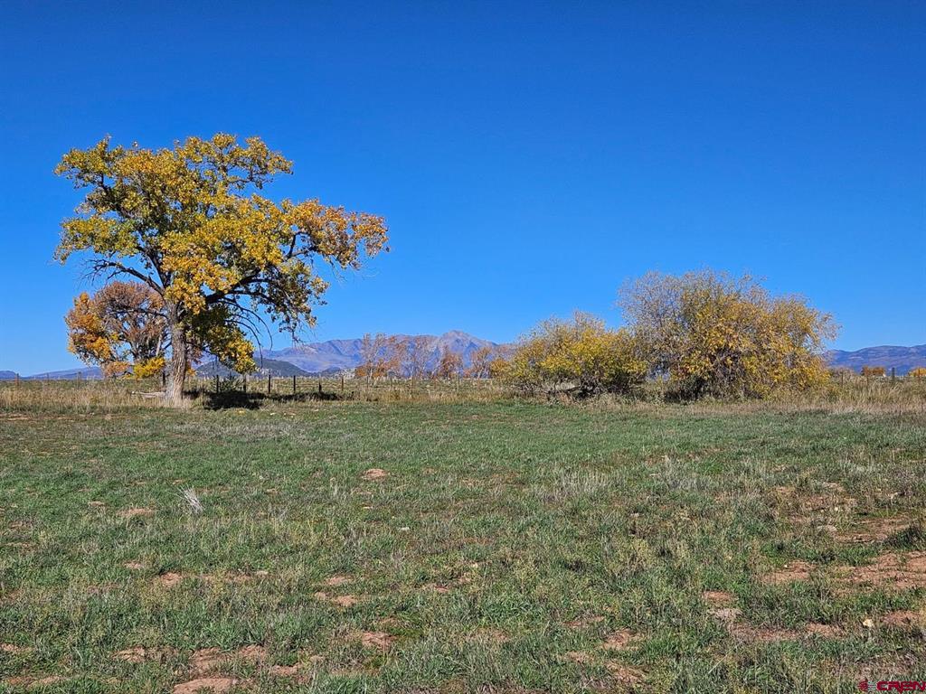 2557 County Road 301 Durango CO 81303