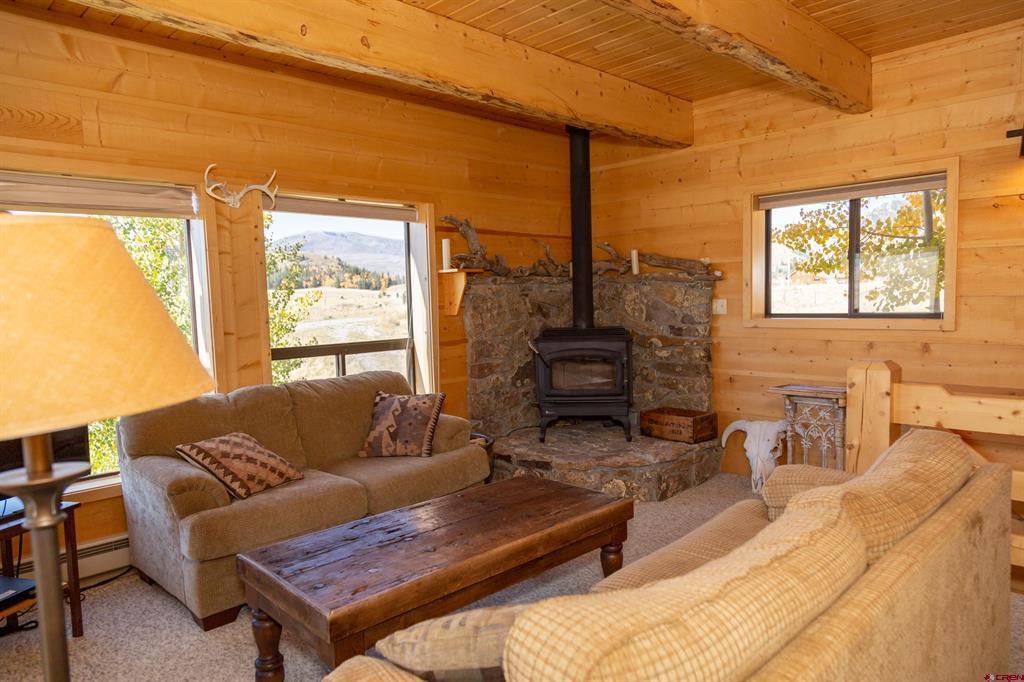 516 Rio Grande Court Creede CO 81130