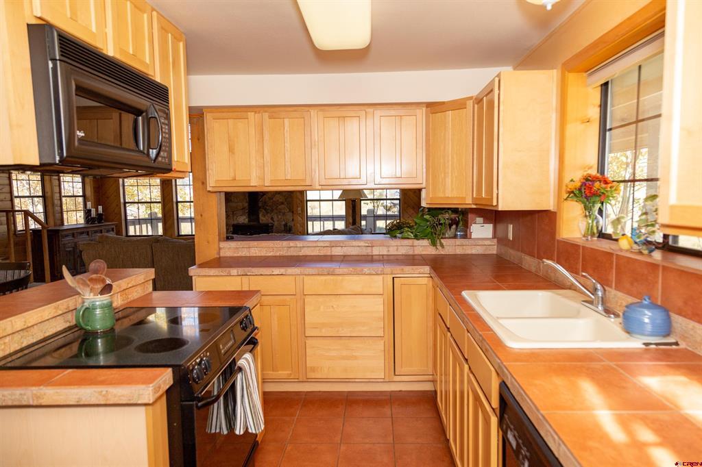 516 Rio Grande Court Creede CO 81130