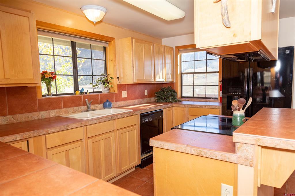 516 Rio Grande Court Creede CO 81130