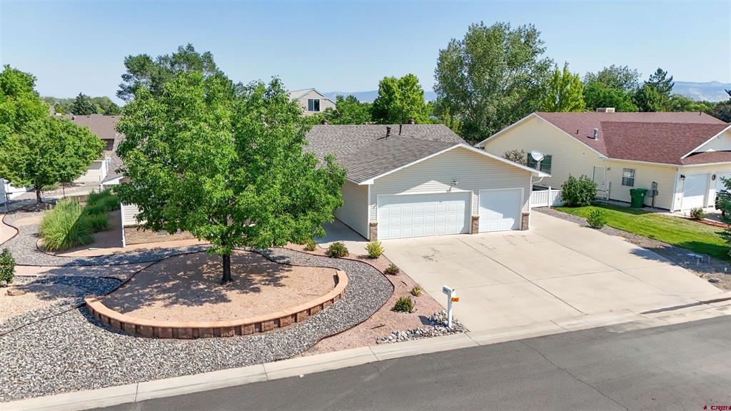 1673 Wetterhorn Street Montrose CO 81401
