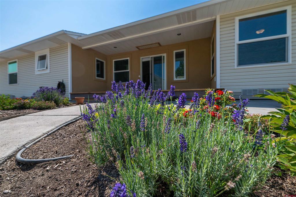 1673 Wetterhorn Street Montrose CO 81401