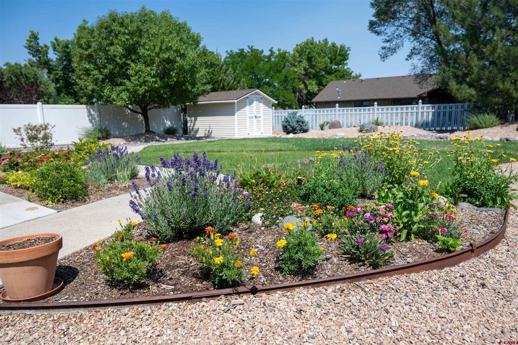 1673 Wetterhorn Street Montrose CO 81401