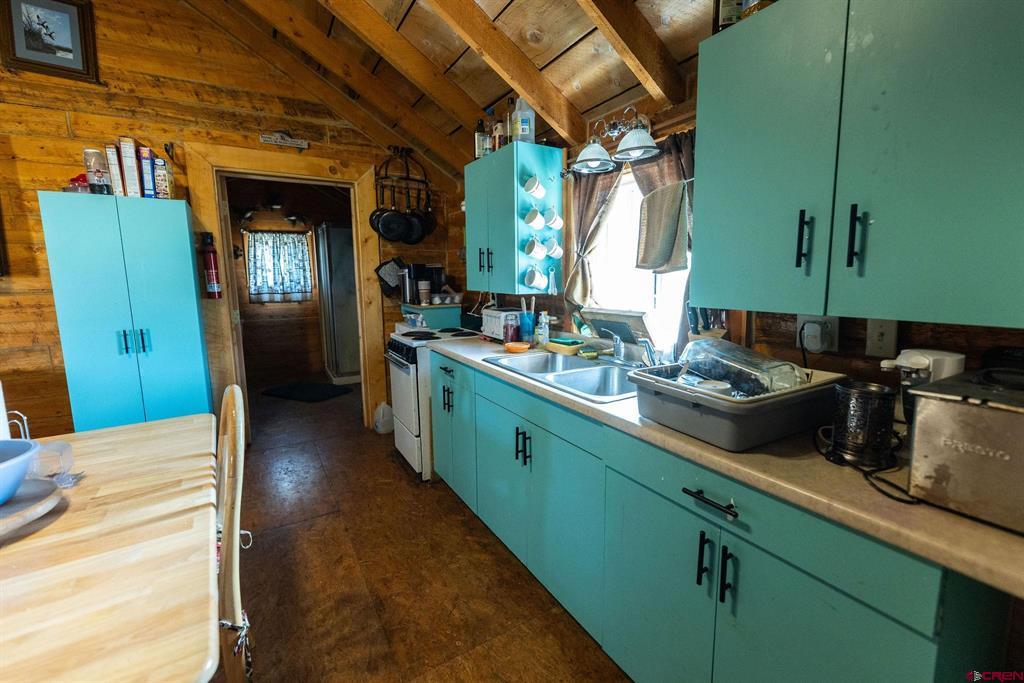 4650 Usfs Road 516 Creede CO 81130