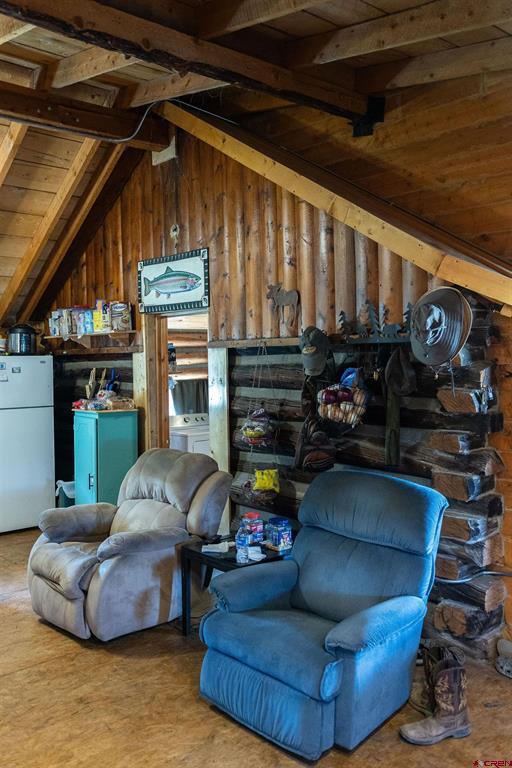 4650 Usfs Road 516 Creede CO 81130