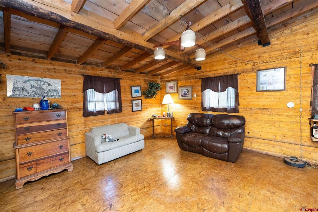 4650 Usfs Road 516 Creede CO 81130