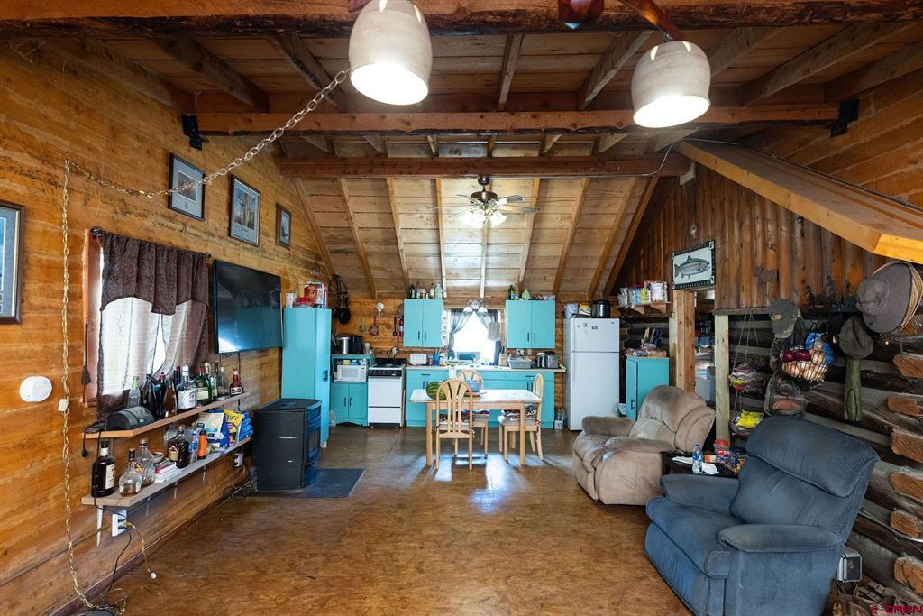 4650 Usfs Road 516 Creede CO 81130