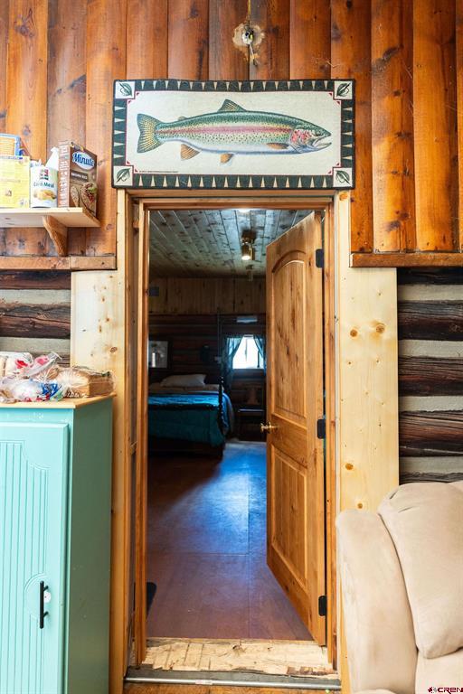 4650 Usfs Road 516 Creede CO 81130