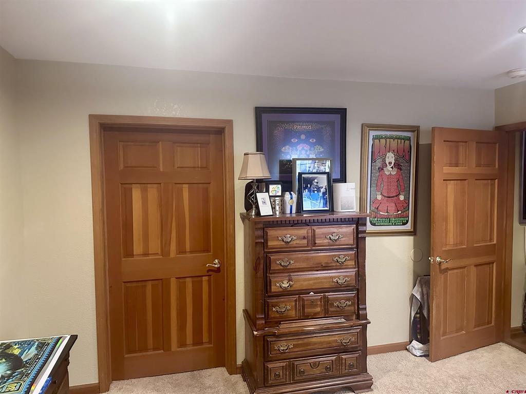 530 Otto Street Ridgway CO 81432