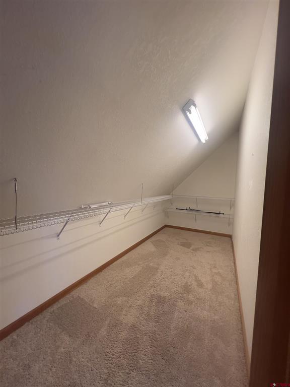530 Otto Street Ridgway CO 81432
