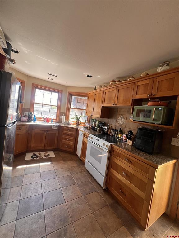 530 Otto Street Ridgway CO 81432