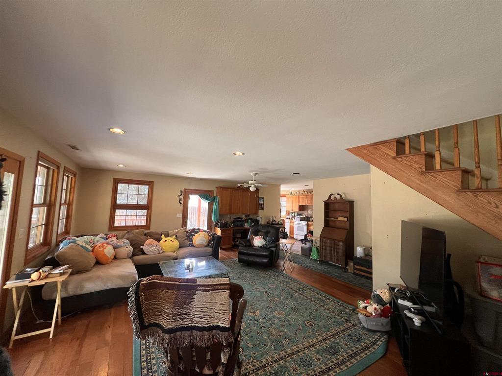 530 Otto Street Ridgway CO 81432