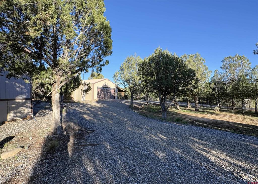 32 Easy Drive Arboles CO 81147