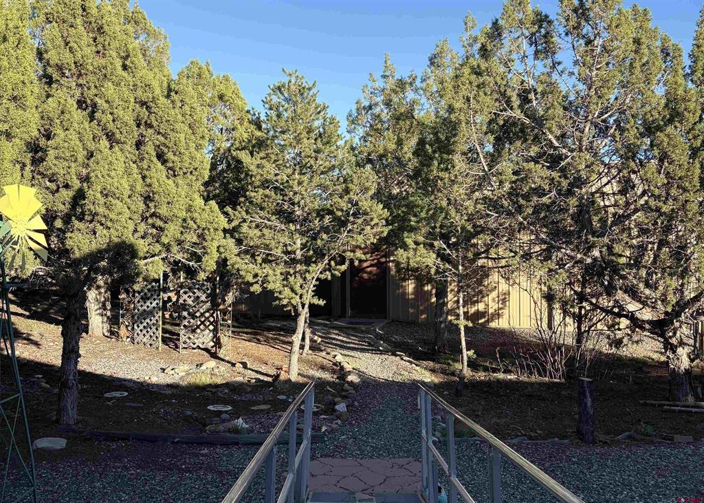 32 Easy Drive Arboles CO 81147