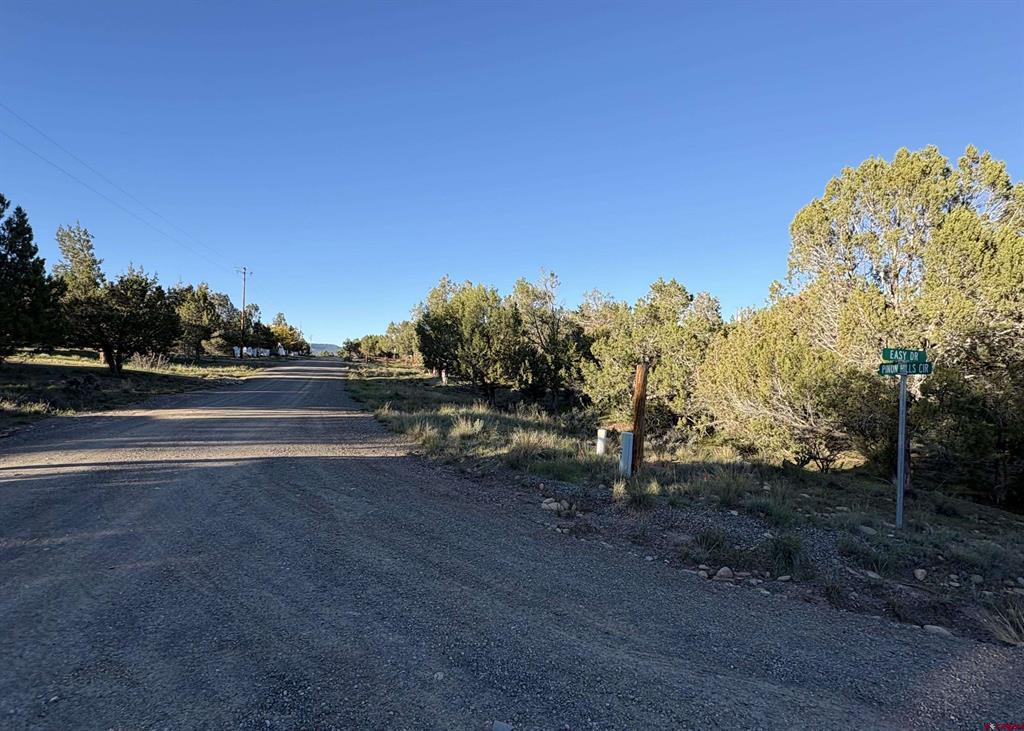 32 Easy Drive Arboles CO 81147