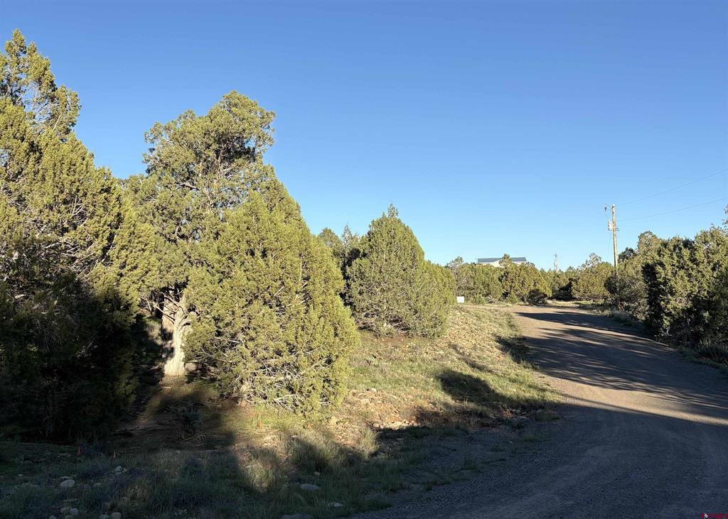 32 Easy Drive Arboles CO 81147
